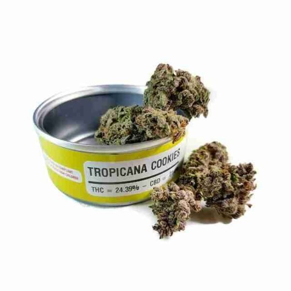 Tropicana Cookies - Image 3
