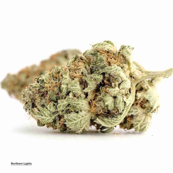 Northern Lights strain