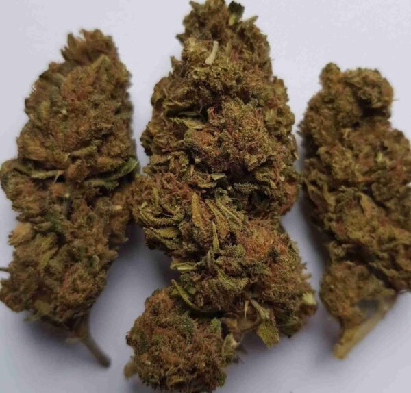 Bubbleberry - Image 3