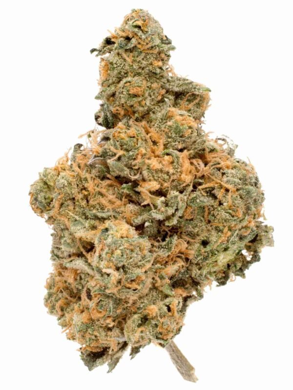 Space Cookies