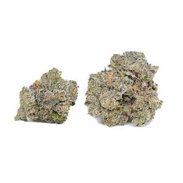 Gelato - Image 3