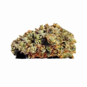 King Tut