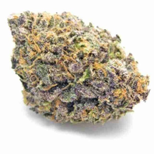 Gelato - Image 2