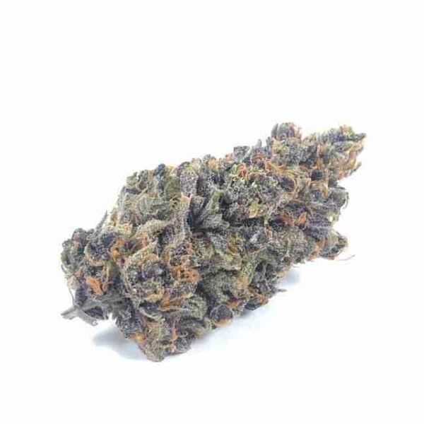 Purple Tangie