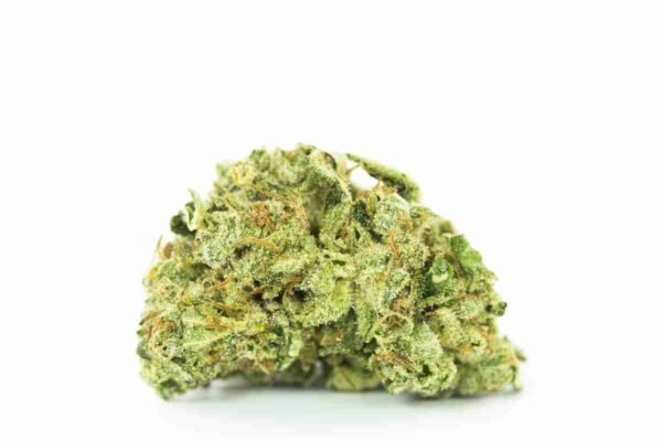 Alien Dawg