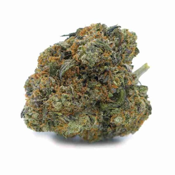 Master Bubba