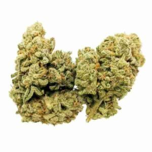 Zombie Kush