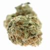 Gold Kush