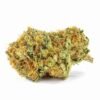 Gorilla Glue 5