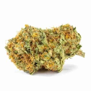 Gorilla Glue 5