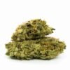 Hindu Kush