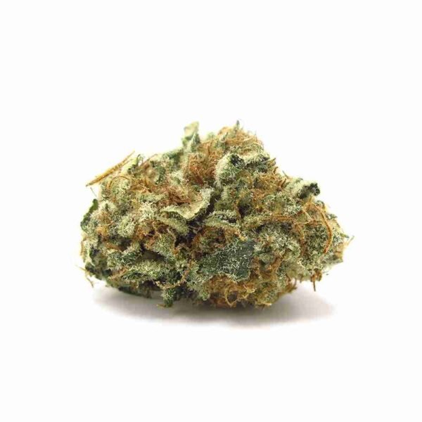 Hindu Kush - Image 3