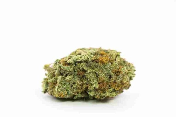 Irish Cream - Image 3