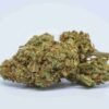 Jet Fuel