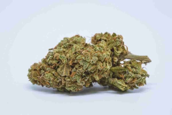 Jet Fuel
