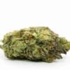 MK Ultra