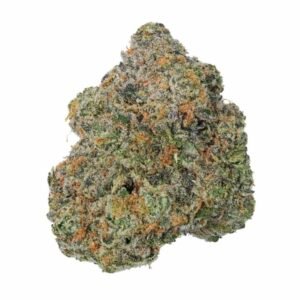 Papaya