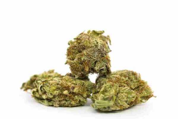 Space Cookies - Image 3