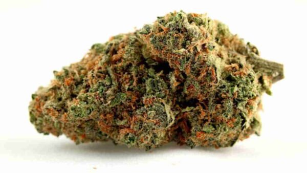 Skunk kush