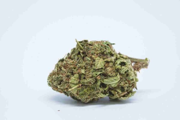 Blueberry Haze - Image 3