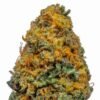 White Cheese