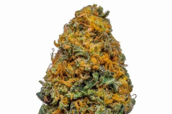 White Cheese