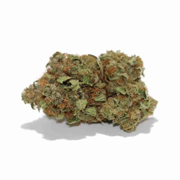 Afghani - Image 3