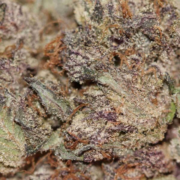Black Diamond - Image 2