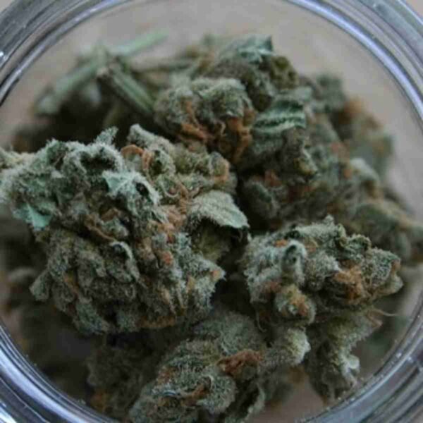 Blueberry Haze - Image 2