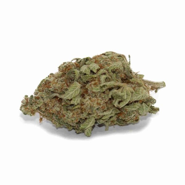 Bruce Banner - Image 3