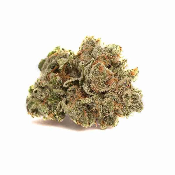 Alien Dawg - Image 3
