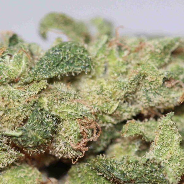 Cannalope - Image 2