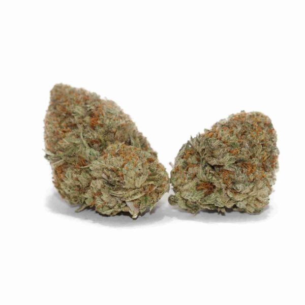 Grease Monkey - Image 3