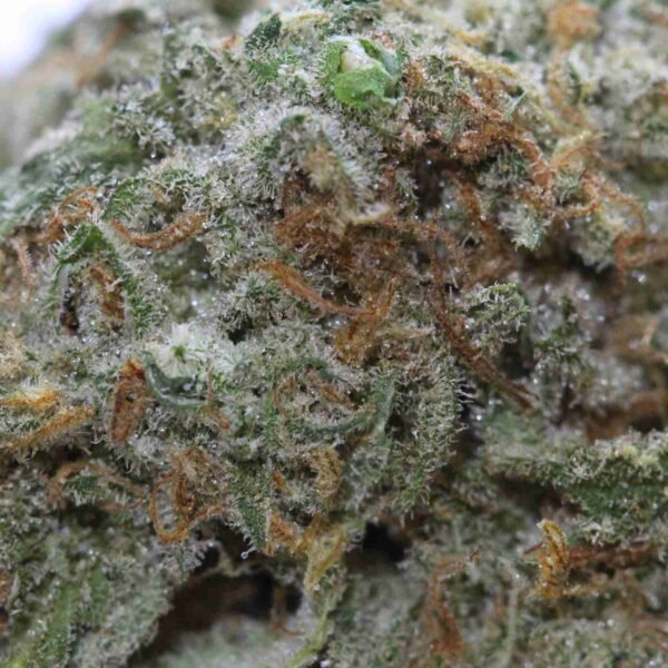 Girl Scout Cookies - Image 2