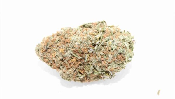 Lemon Creamsicle