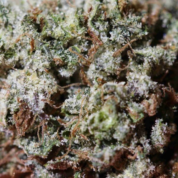 Phantom OG - Image 2