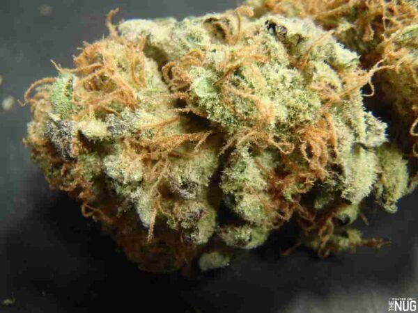 Northern Lights strain - Image 2