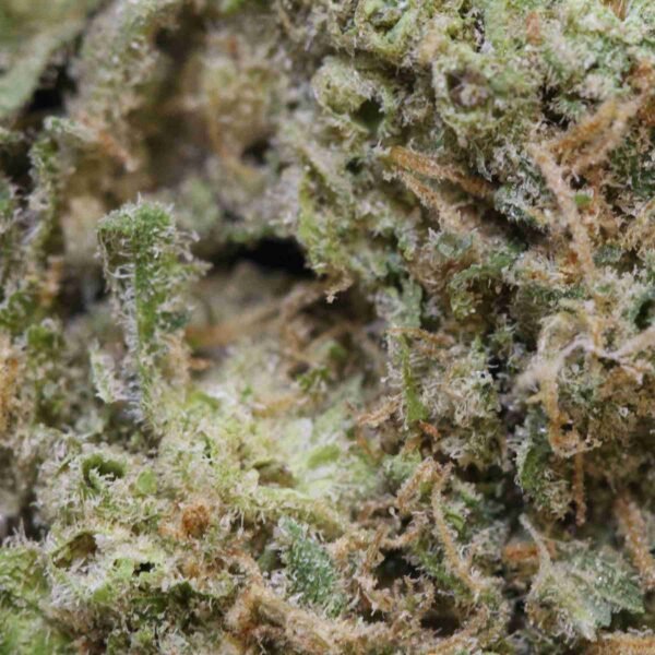 White Cheese - Image 2