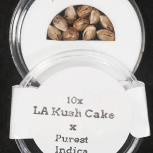 LA Kush Cake x Purest Indica Regular Seeds