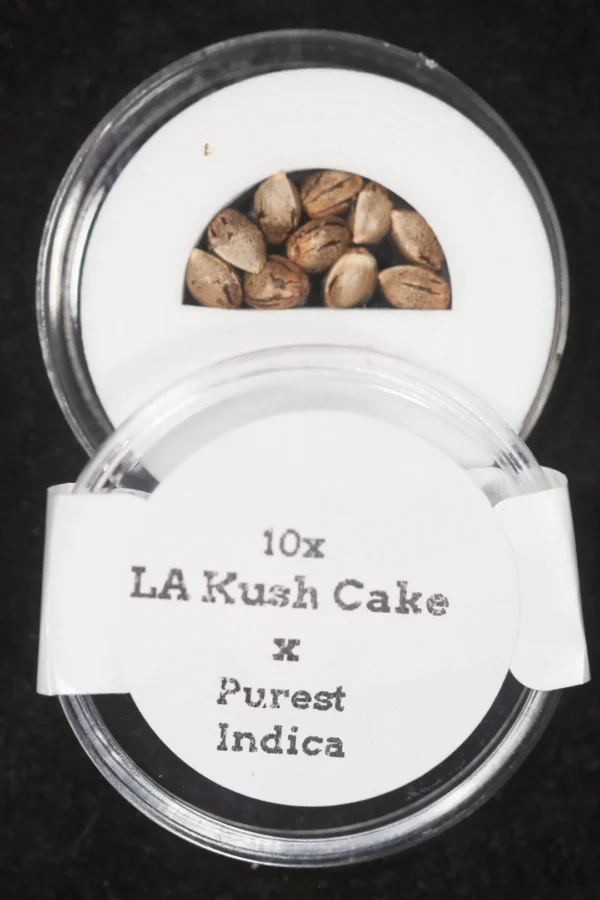 LA Kush Cake x Purest Indica Regular Seeds
