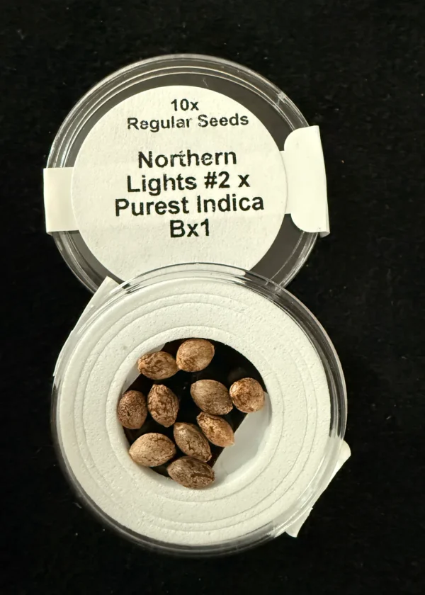 Northern Lights #2 x Purest Indica Seeds Bx1 10x Seeds for $50.00