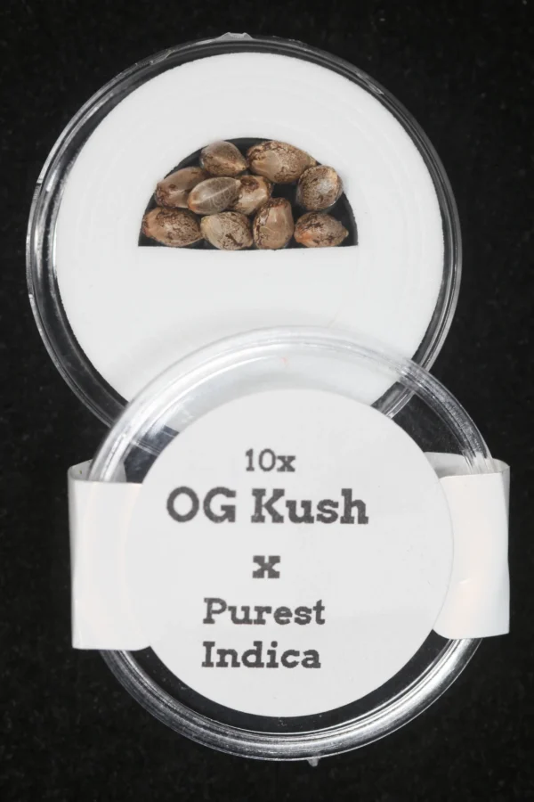 OG Kush x Purest Indica Regular Seeds