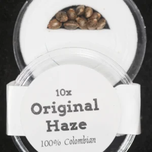 Original Haze 100% Colombian IBL (Inbred Line) Regular Seeds