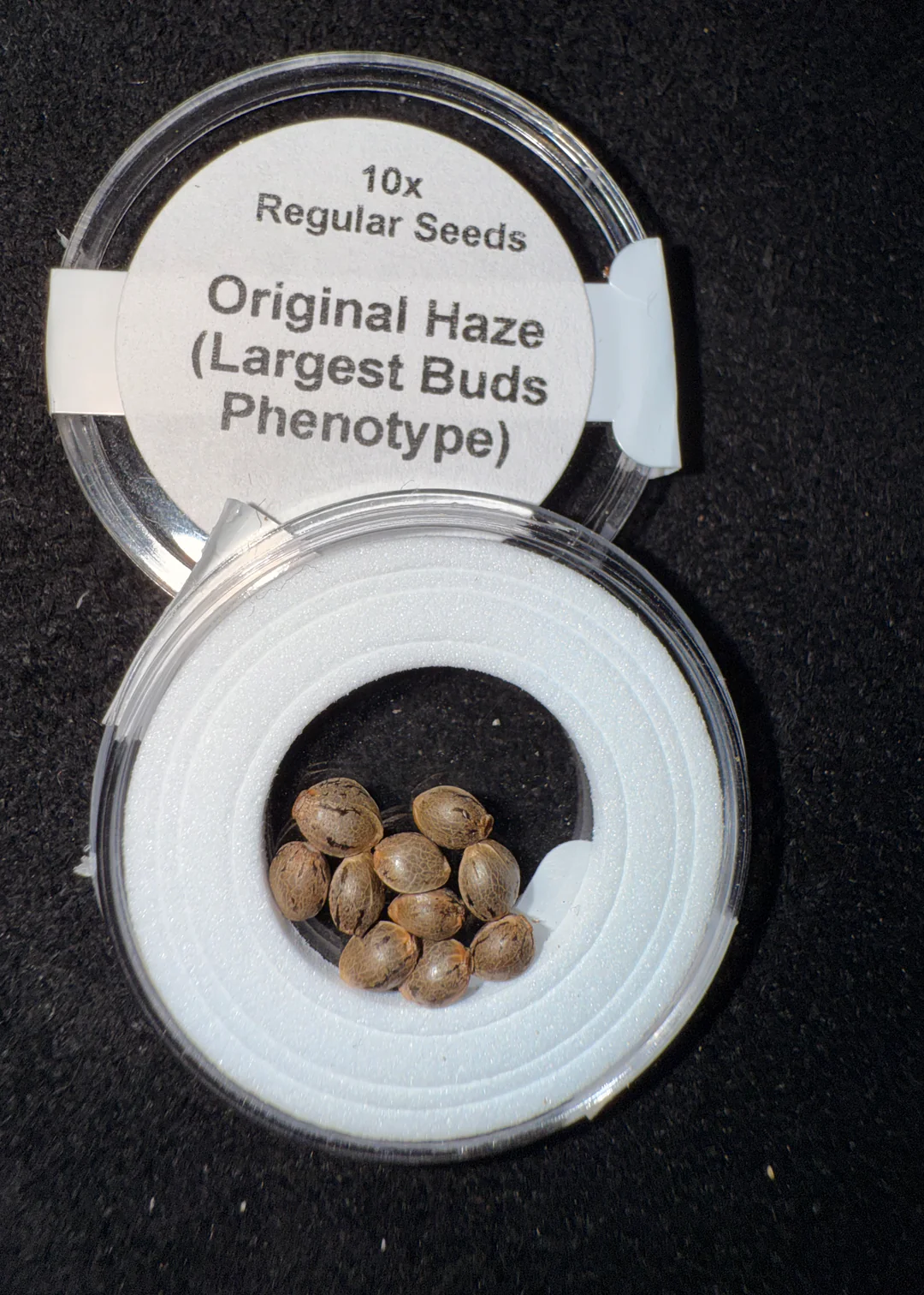 Original Haze (Largest Buds Phenotype) 10x Seeds for $50.00