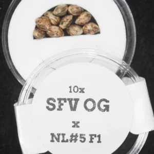 SFV OG x NL#5 F1 Regular Seeds