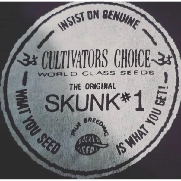 Original Skunk No.1 IBL (Inbred Line) Regular Seeds - Image 2