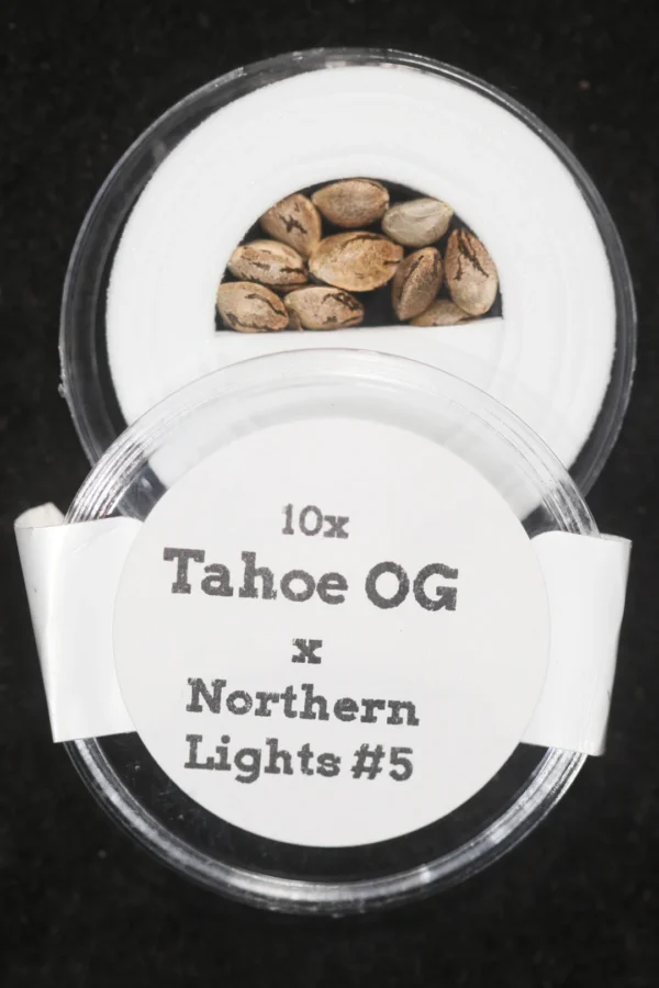 Tahoe OG x NL#5 Regular Seeds
