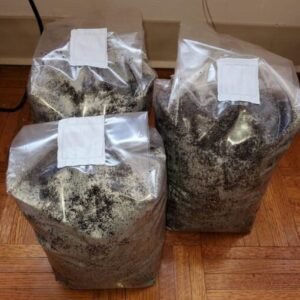 Fresh Mushrooms Magic Mushroom Grow Kit Full Package